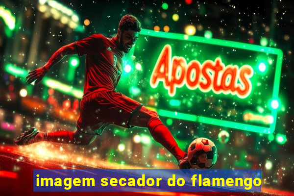 imagem secador do flamengo